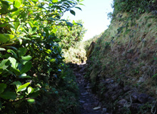 Ascension Chemin des Dames