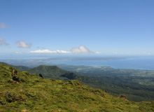 Cote Est et Petit cul-de-sac marin