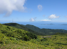 Échelle et Madeleine de la savane