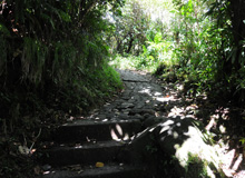 Escalier en pierre