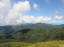 Forêt du Parc National