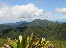 Parc National de la Guadeloupe