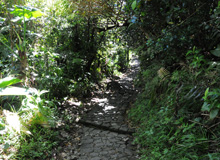 Sentier pavé