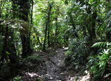 Pas du Roy - Sentier de pierre