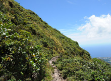 Sentier à flan de montagne