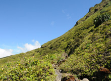 Versant Ouest Soufrière