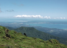 Vue sur Pointe à Pitre