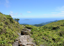 Vue Terre de Bas - Les Saintes